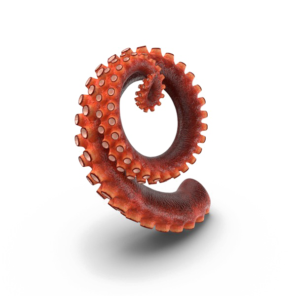 Octopus Tentacles HD Free HD Image Transparent PNG Image