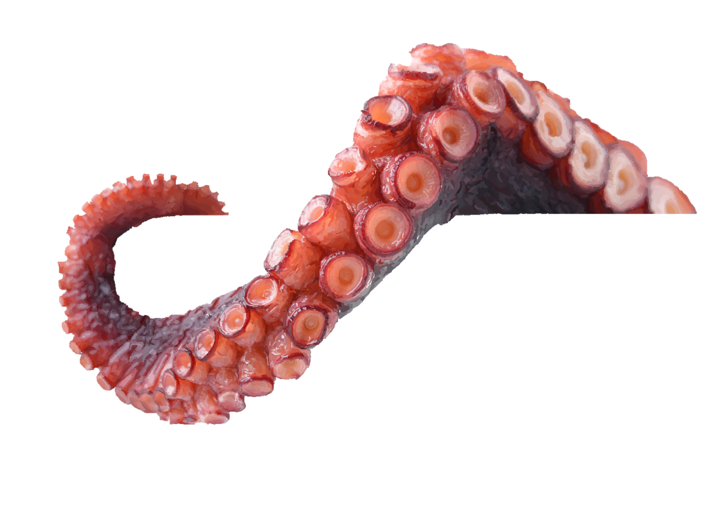 Octopus Tentacles Free PNG HQ Transparent PNG Image