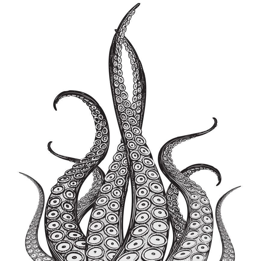 Octopus Tentacles Free Download PNG HD Transparent PNG Image