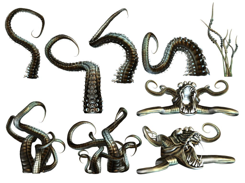 Octopus Tentacles HQ Image Free PNG Transparent PNG Image