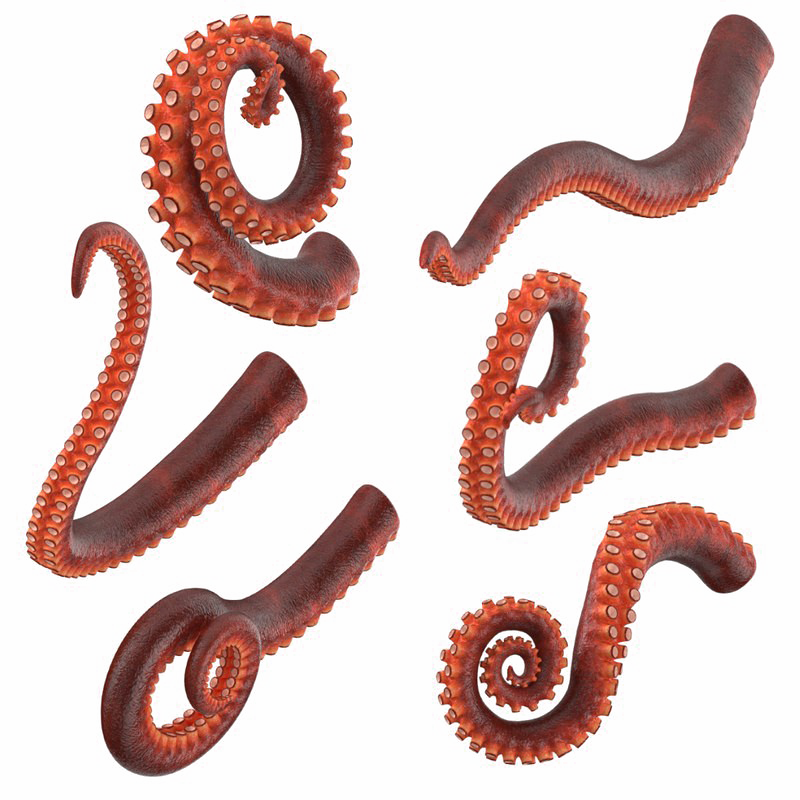 Octopus Tentacles HQ Image Free PNG Transparent PNG Image