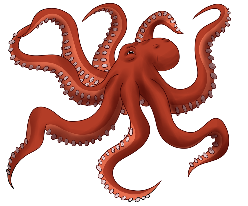 Octopus Toy Image PNG Image High Quality Transparent PNG Image