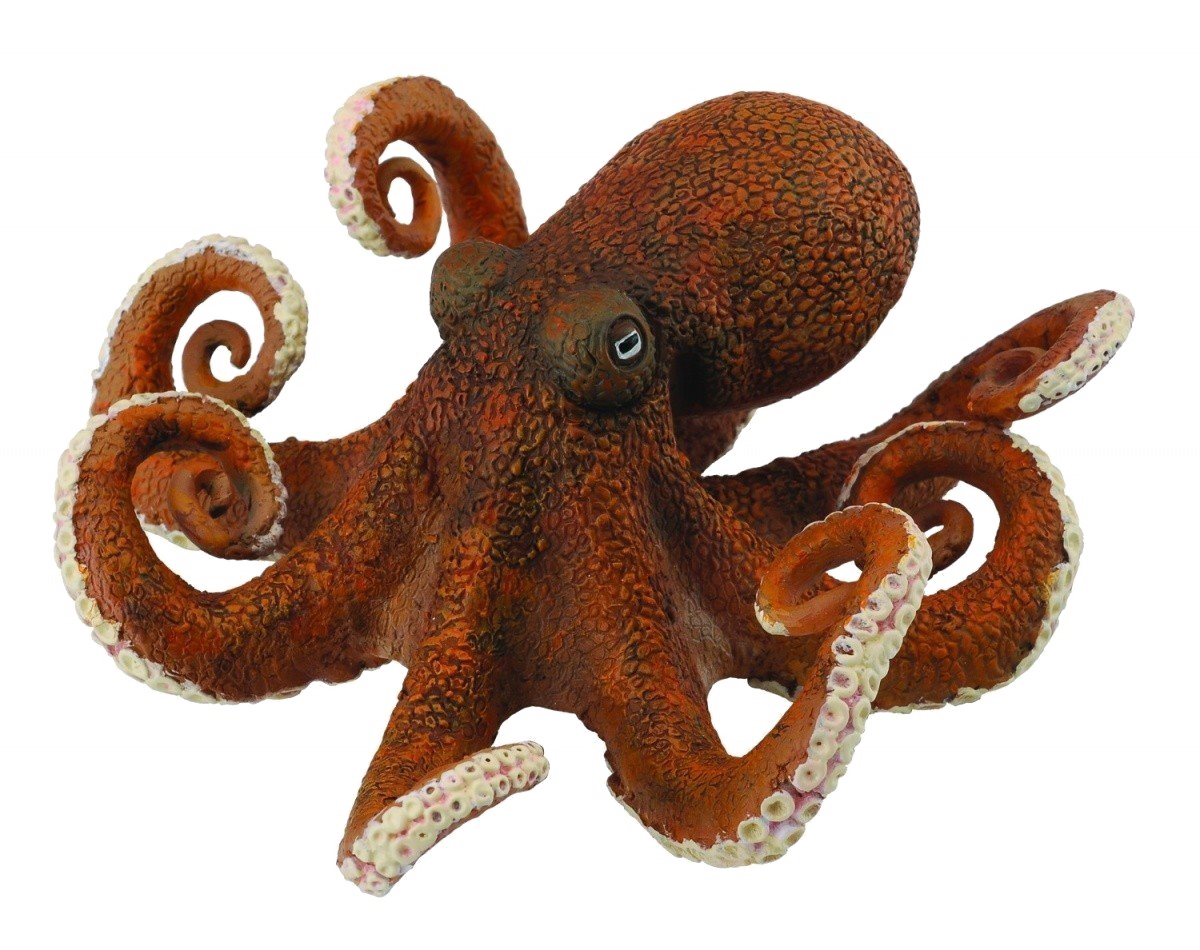 Octopus Toy Photos Download Free Image Transparent PNG Image