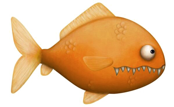 Goldfish Image Free Clipart HD Transparent PNG Image