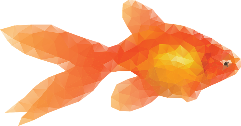 Goldfish Free Download Image Transparent PNG Image