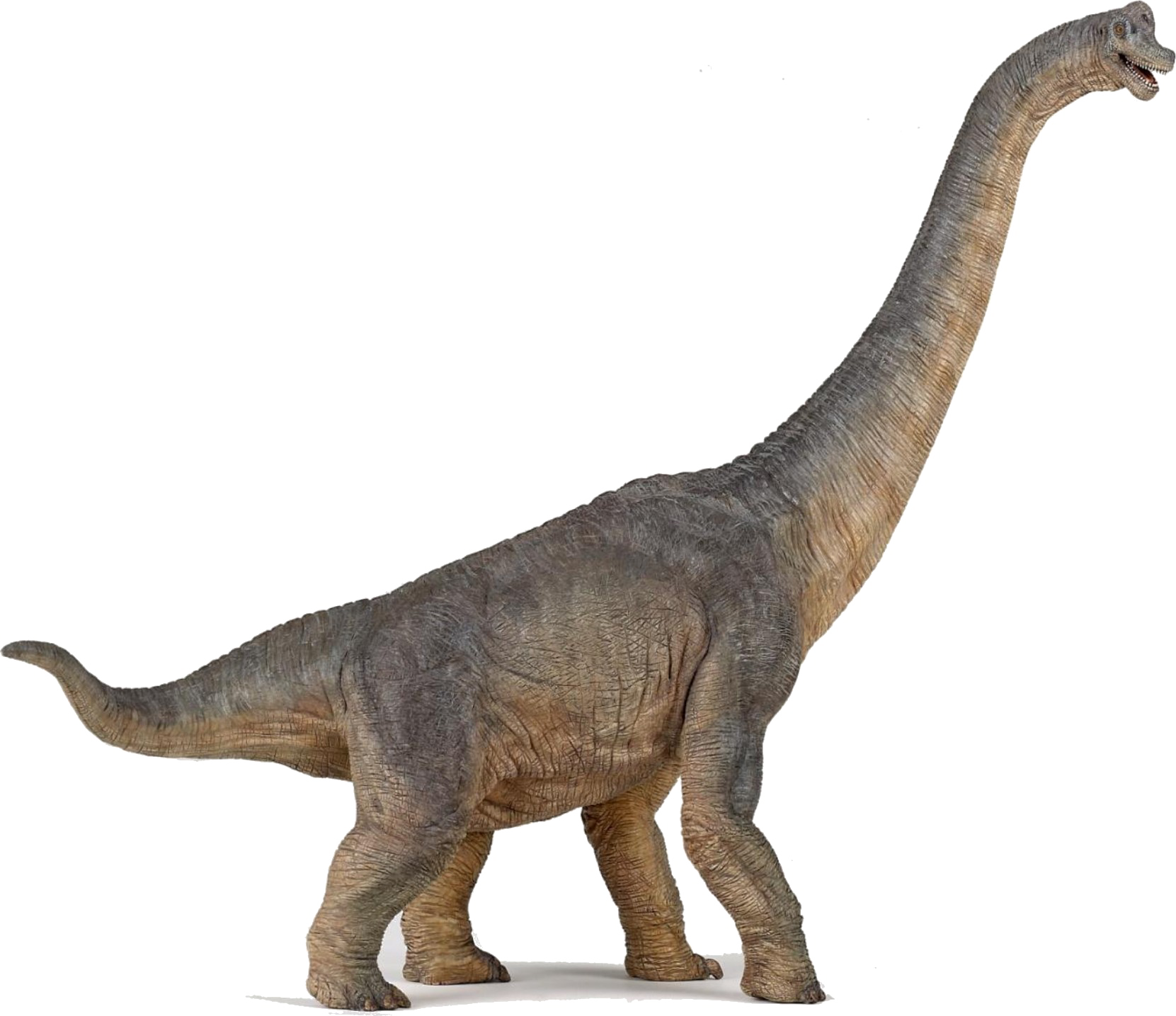 Dinosaurs Download HD PNG Transparent PNG Image