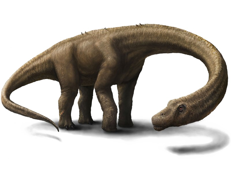 Dinosaurs PNG Free Photo Transparent PNG Image