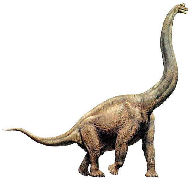 Diplodocus Download HQ PNG Transparent PNG Image