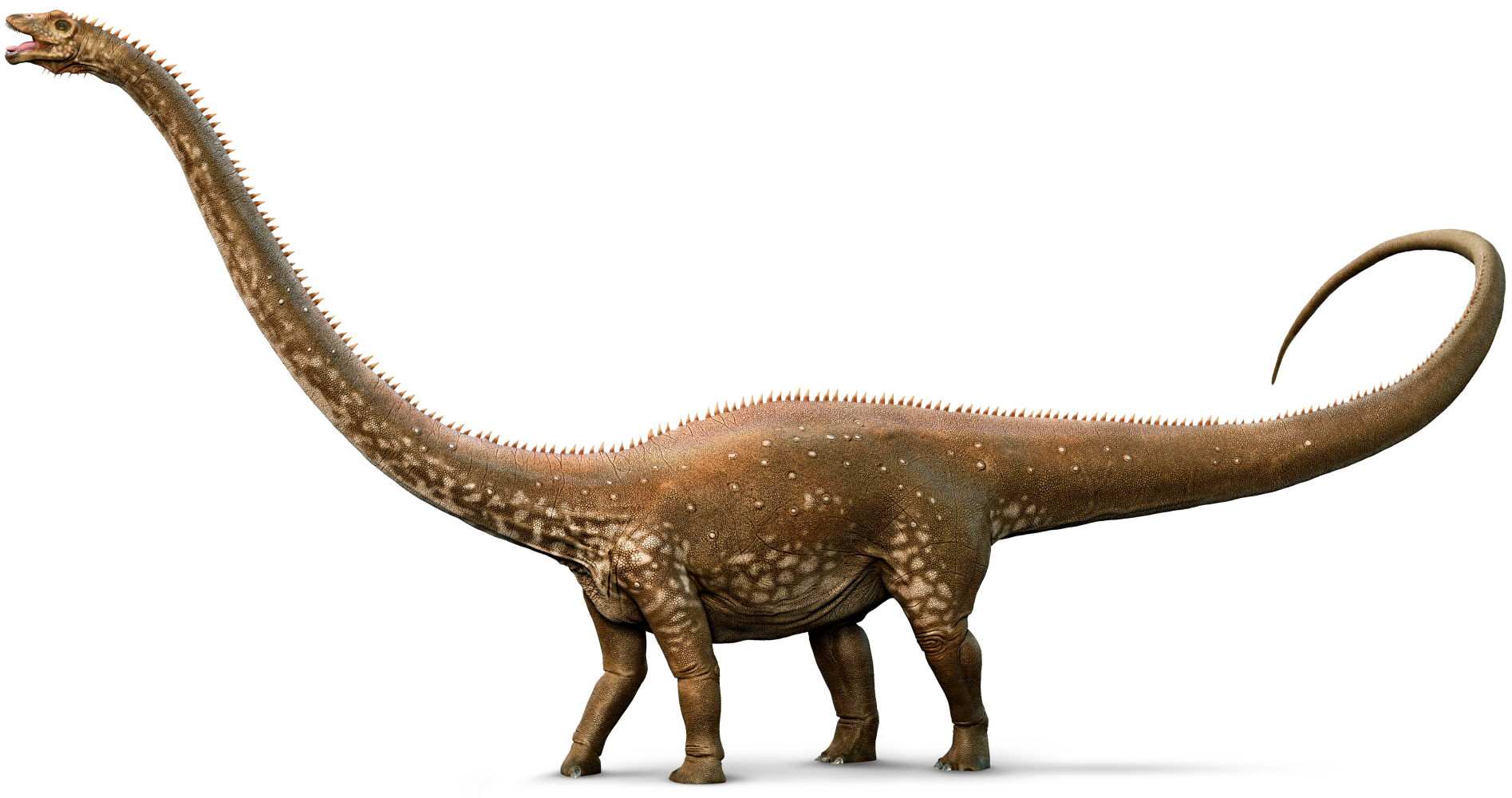 Diplodocus Picture PNG File HD Transparent PNG Image