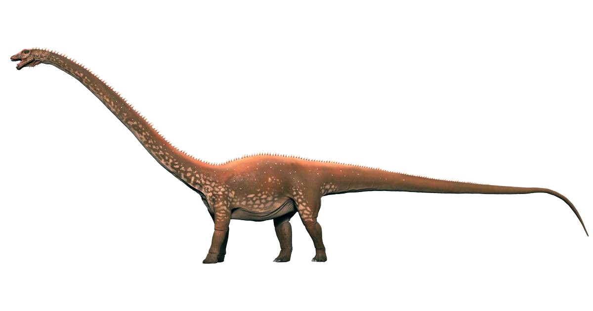 Diplodocus Free Download PNG HQ Transparent PNG Image