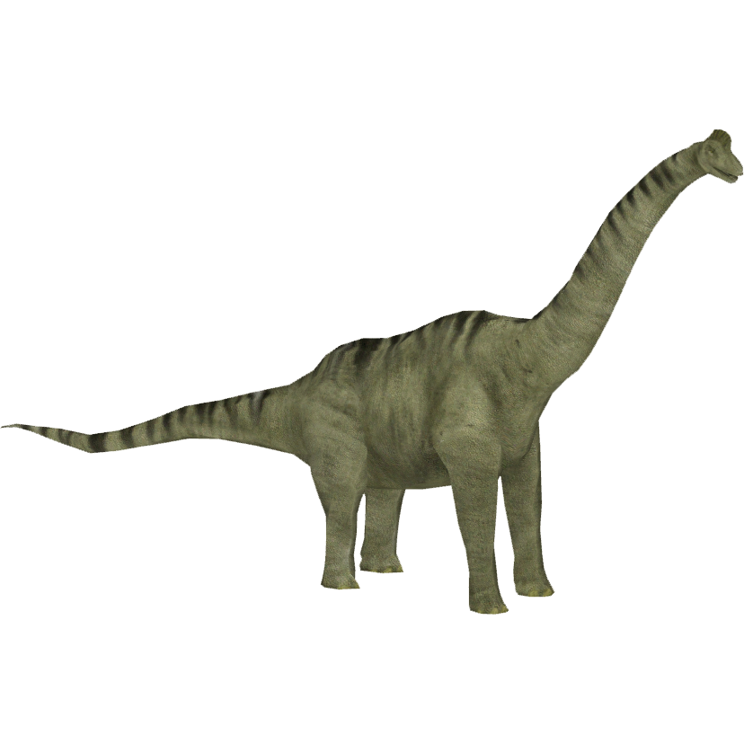 Brachiosaurus Free Download PNG HD Transparent PNG Image