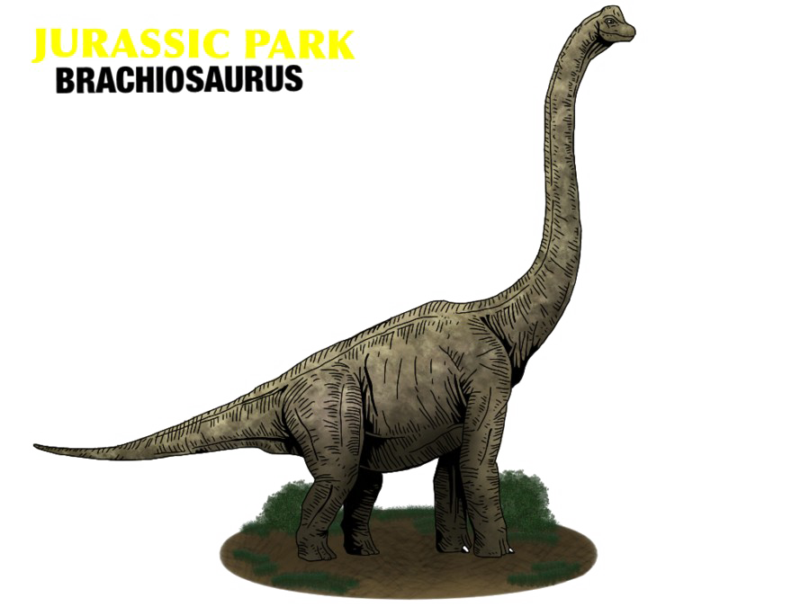 Brachiosaurus Free Download PNG HD Transparent PNG Image