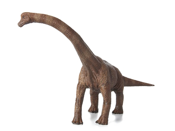 Brachiosaurus Photos Free Clipart HD Transparent PNG Image