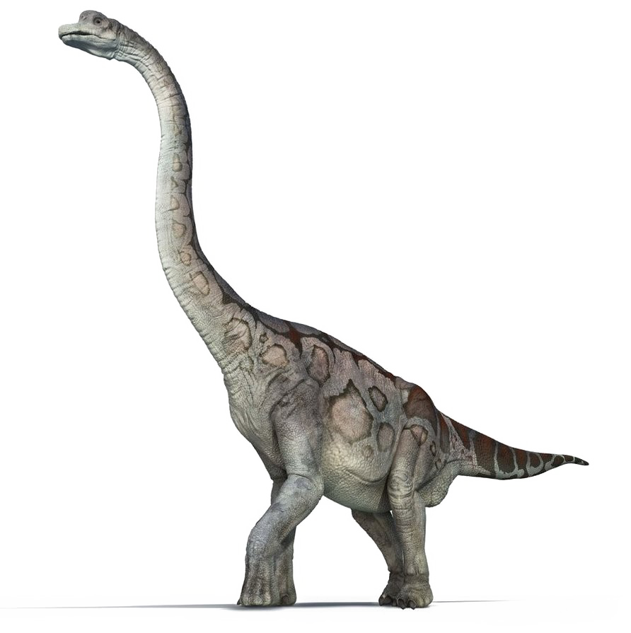 Brachiosaurus PNG File HD Transparent PNG Image