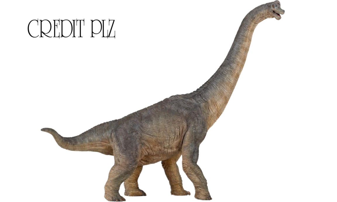 Brachiosaurus Image Free Clipart HD Transparent PNG Image