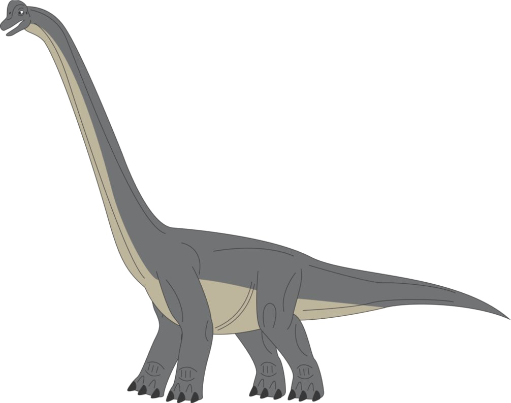 Brachiosaurus Picture Free Clipart HD Transparent PNG Image