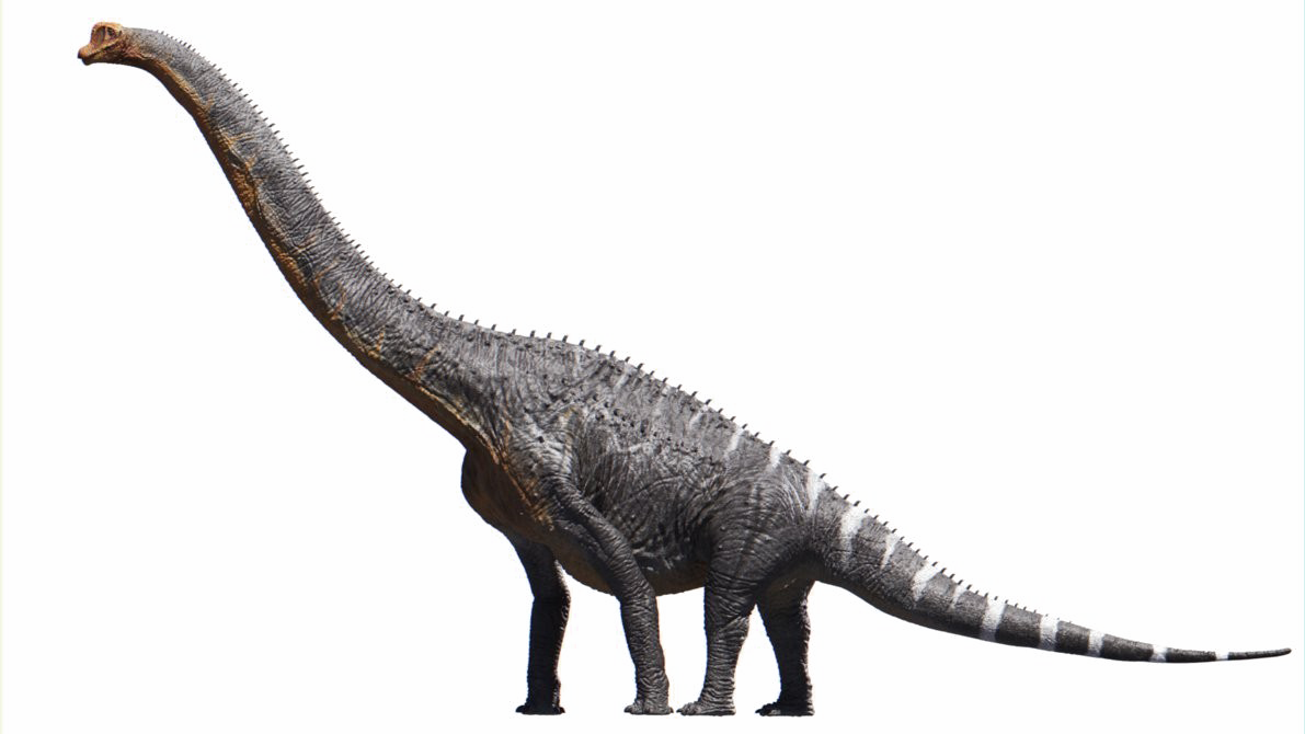 Brachiosaurus Download Free Image Transparent PNG Image