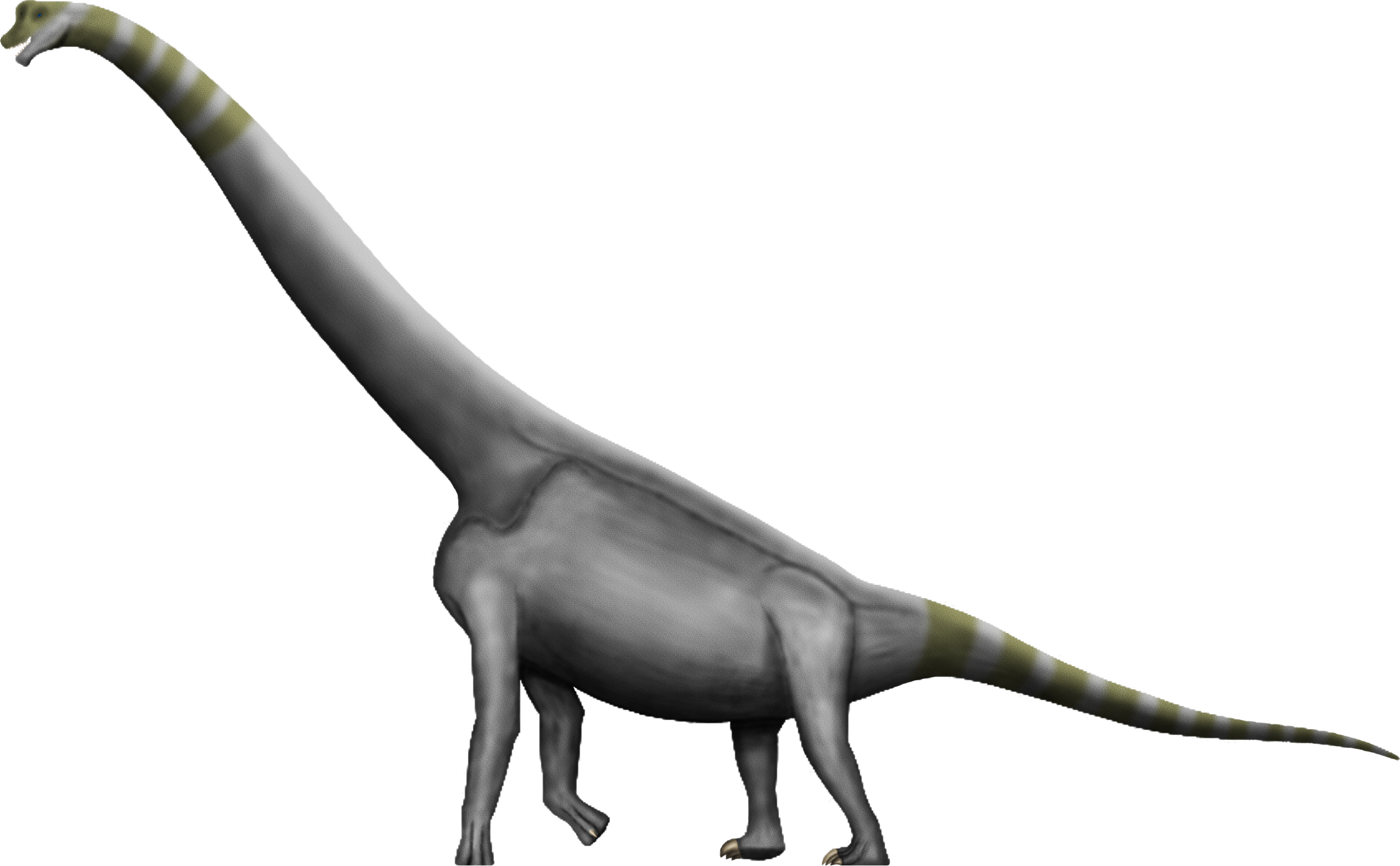 Brachiosaurus Free Download Image Transparent PNG Image