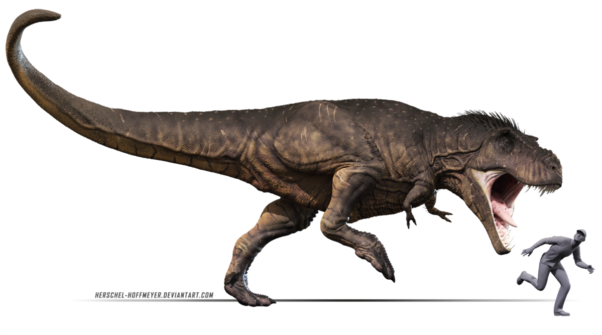 T Rex Free Download Image Transparent PNG Image