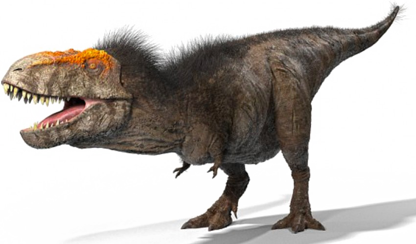 T Rex Download Free Image Transparent PNG Image