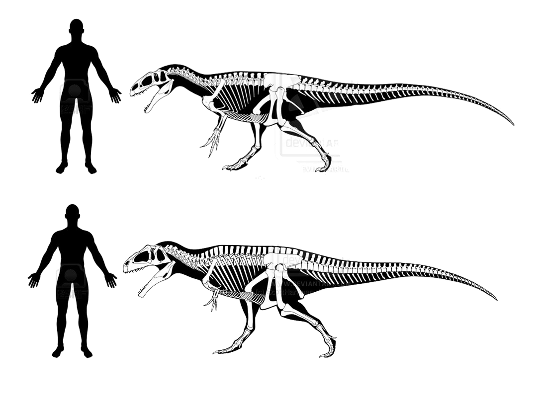 Theropod Free Download PNG HQ Transparent PNG Image