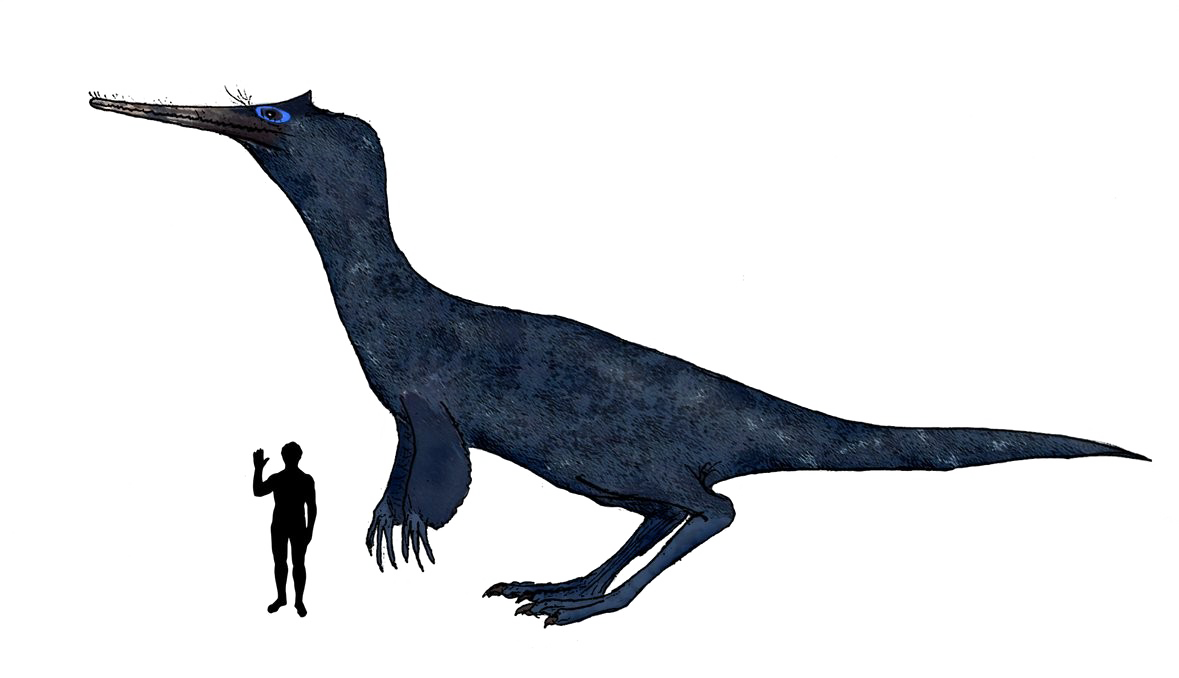 Theropod Download PNG Free Photo Transparent PNG Image