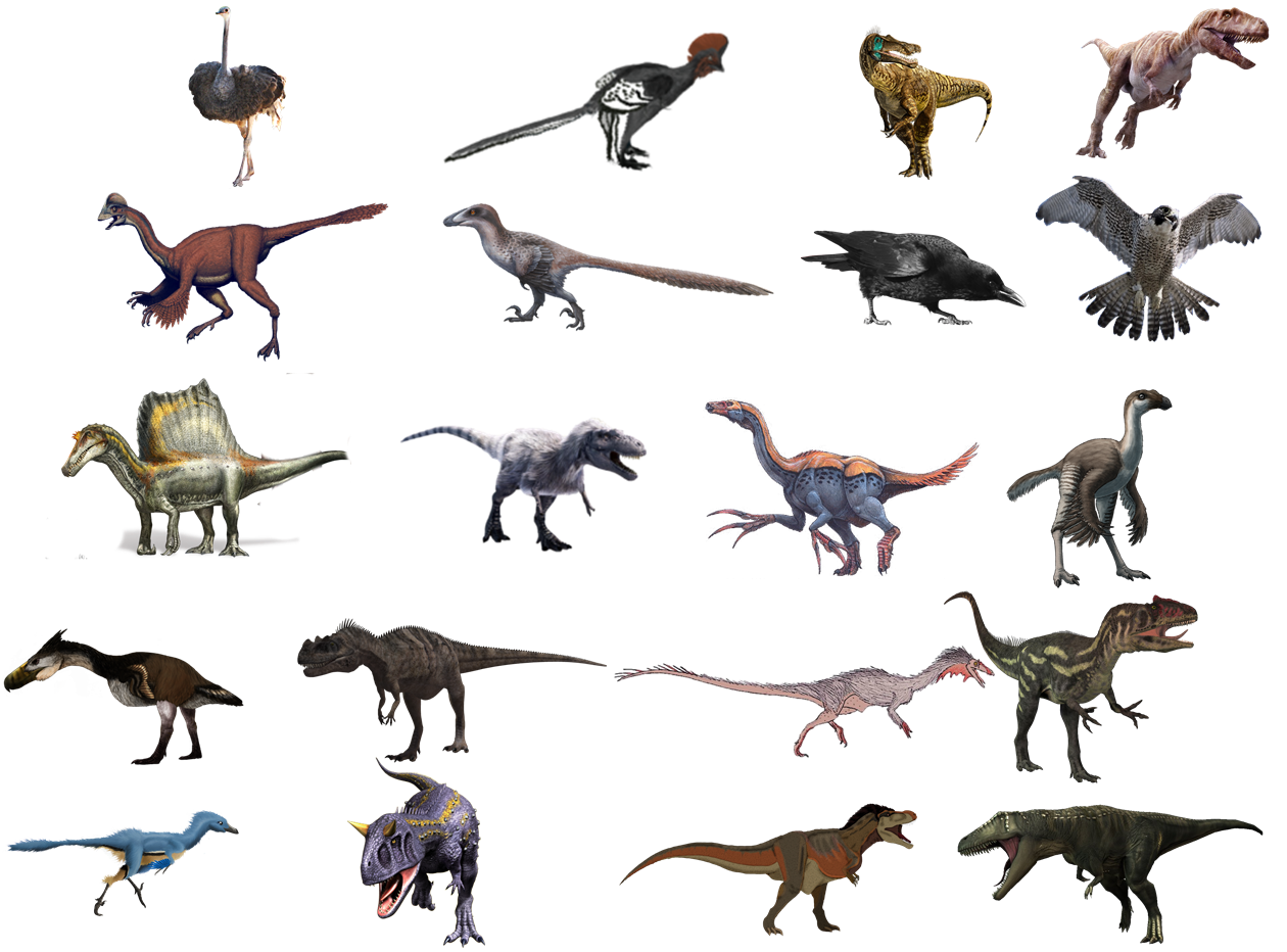 Theropod Free Transparent Image HD Transparent PNG Image