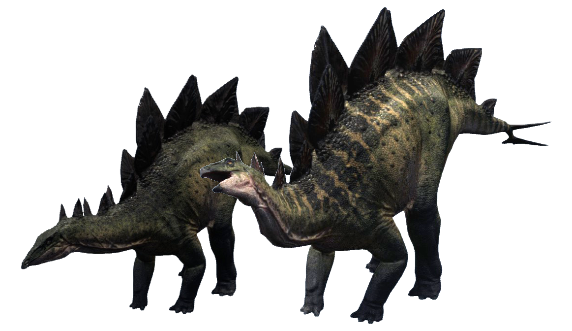 Stegosaurus Free Download Image Transparent PNG Image