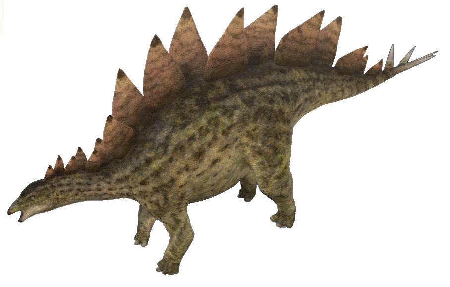 Stegosaurus Image Free Transparent Image HD Transparent PNG Image