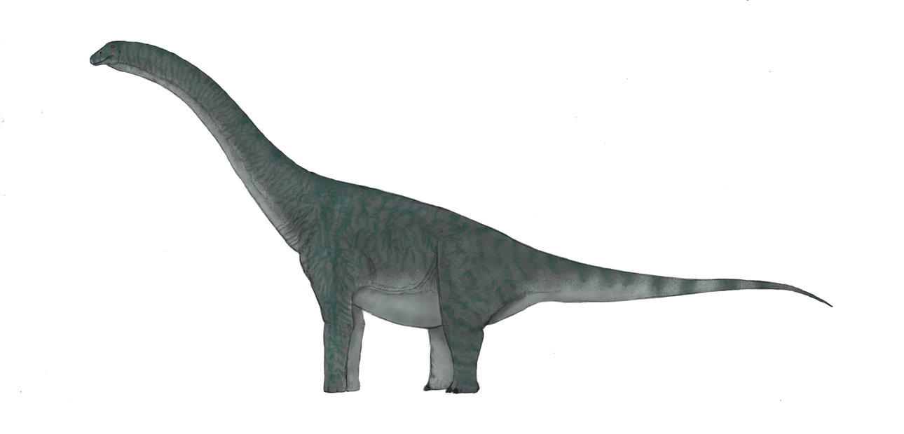 Sauropod Download HD PNG Transparent PNG Image