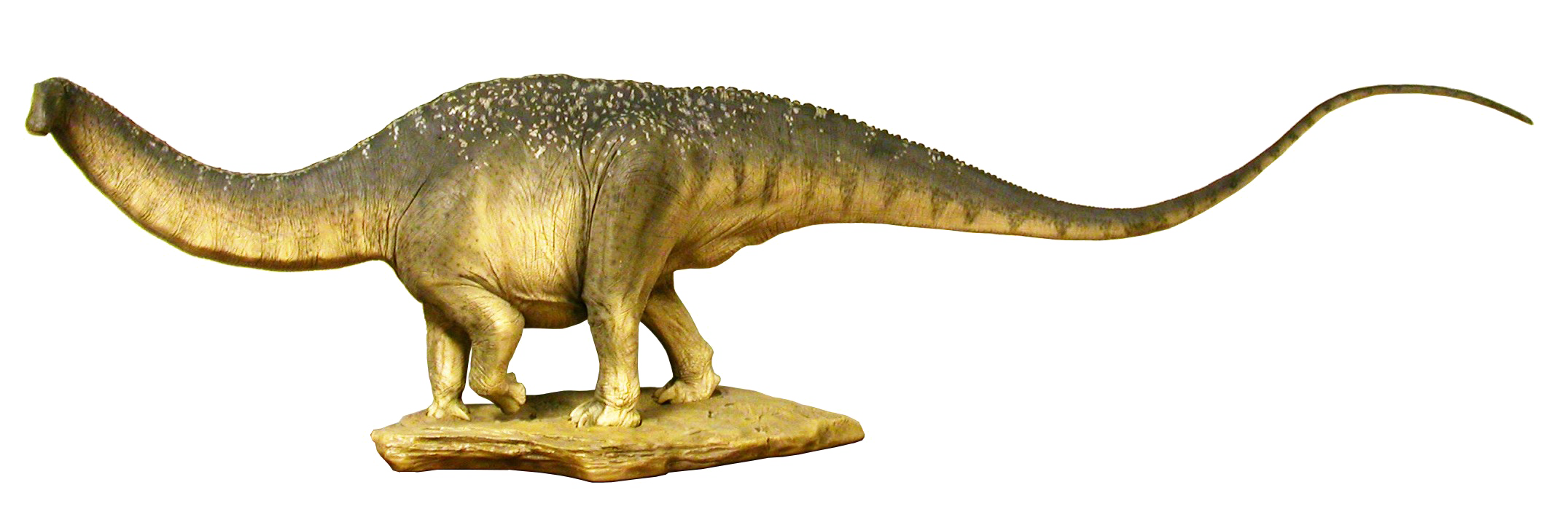 Sauropod Download HD PNG Transparent PNG Image