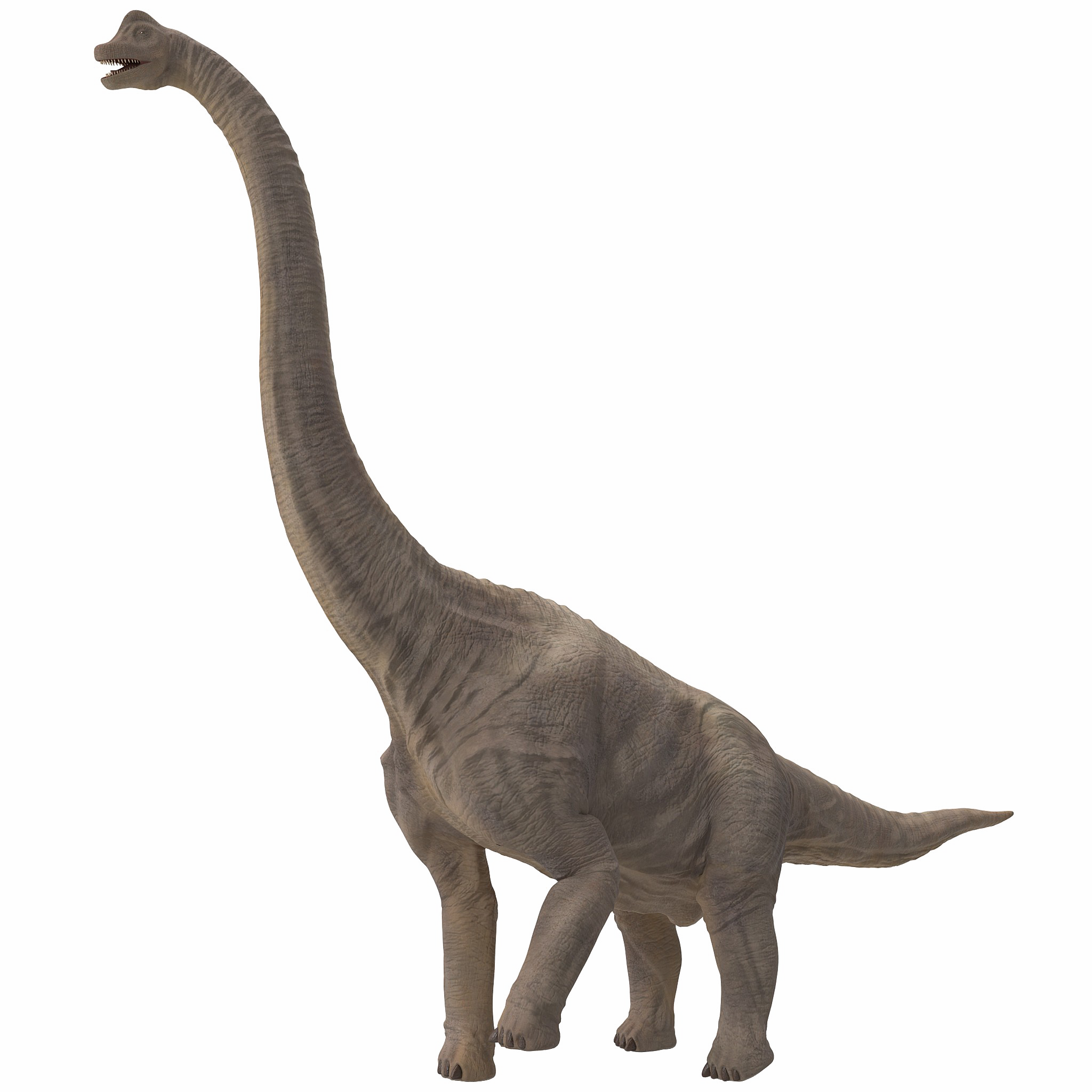 Sauropod Free Download PNG HQ Transparent PNG Image