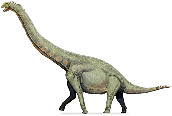 Sauropod Download Free Download Image Transparent PNG Image