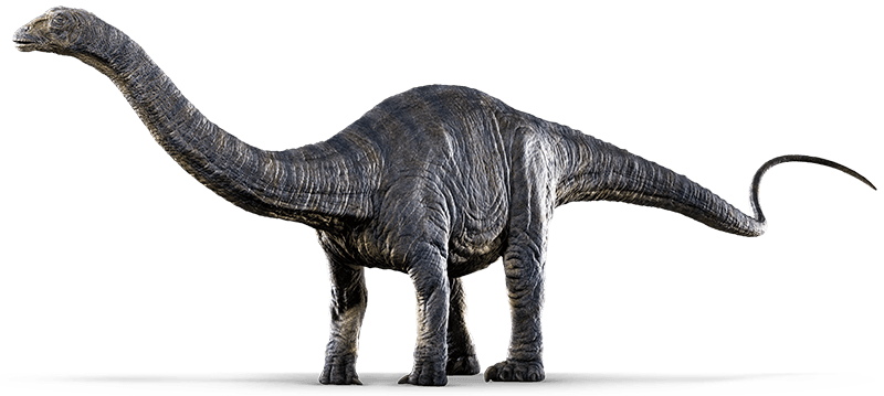 Sauropod Photos HD Image Free PNG Transparent PNG Image