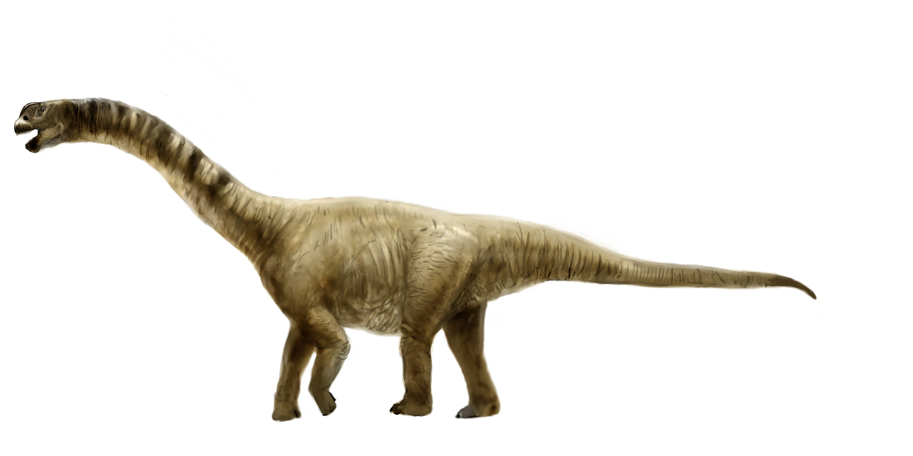 Sauropod Picture PNG Download Free Transparent PNG Image