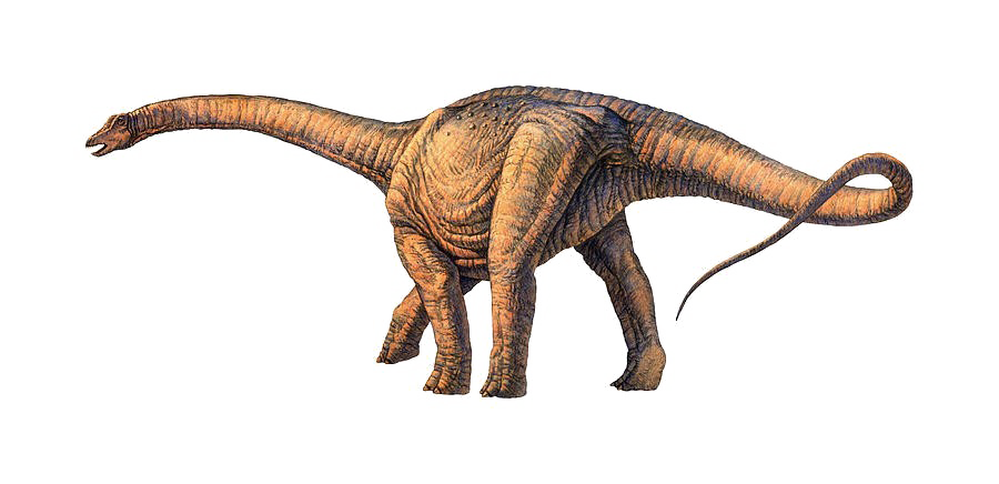 Sauropod Image PNG Free Photo Transparent PNG Image