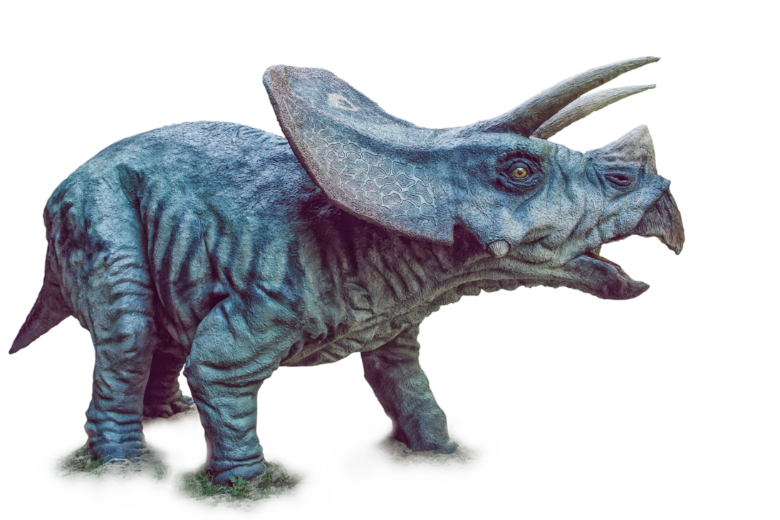 Triceratop Free Transparent Image HD Transparent PNG Image