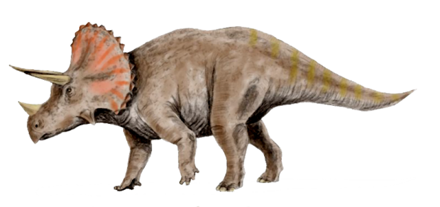 Triceratop Free HQ Image Transparent PNG Image