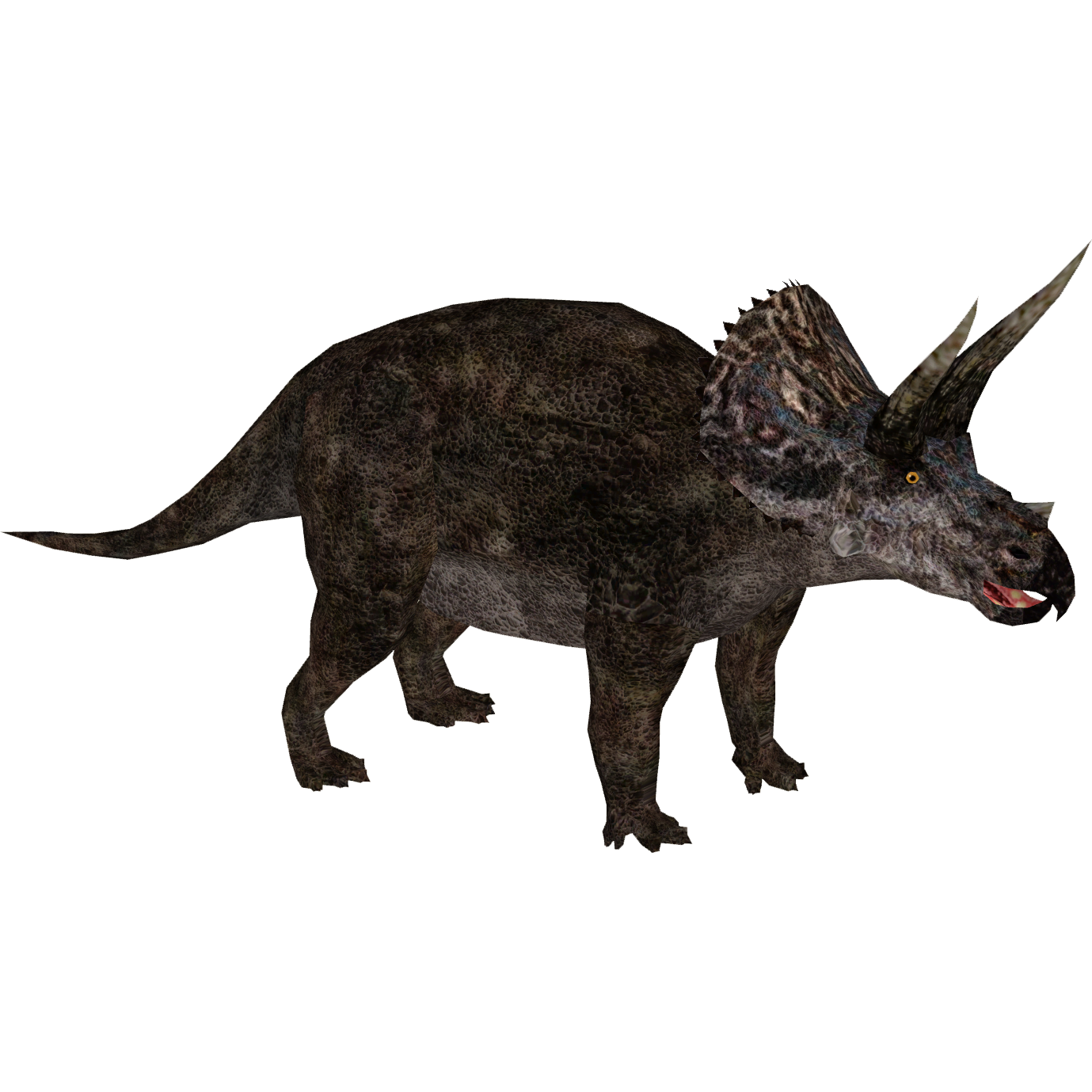 Triceratop Download PNG Free Photo Transparent PNG Image