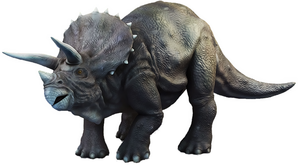 Triceratop Picture Free Download PNG HQ Transparent PNG Image