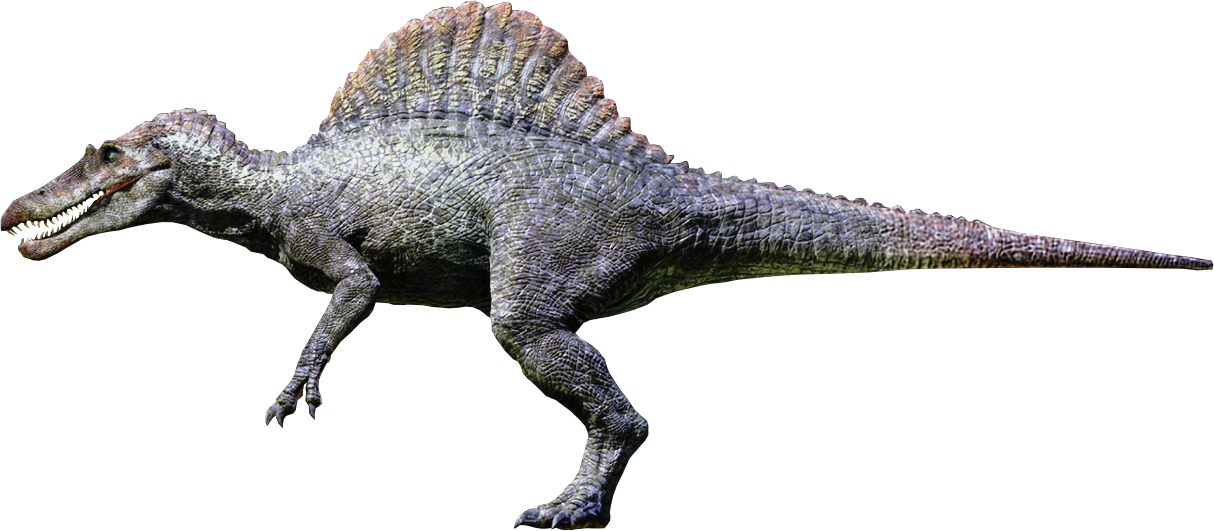 Spinosaurus Download PNG File HD Transparent PNG Image