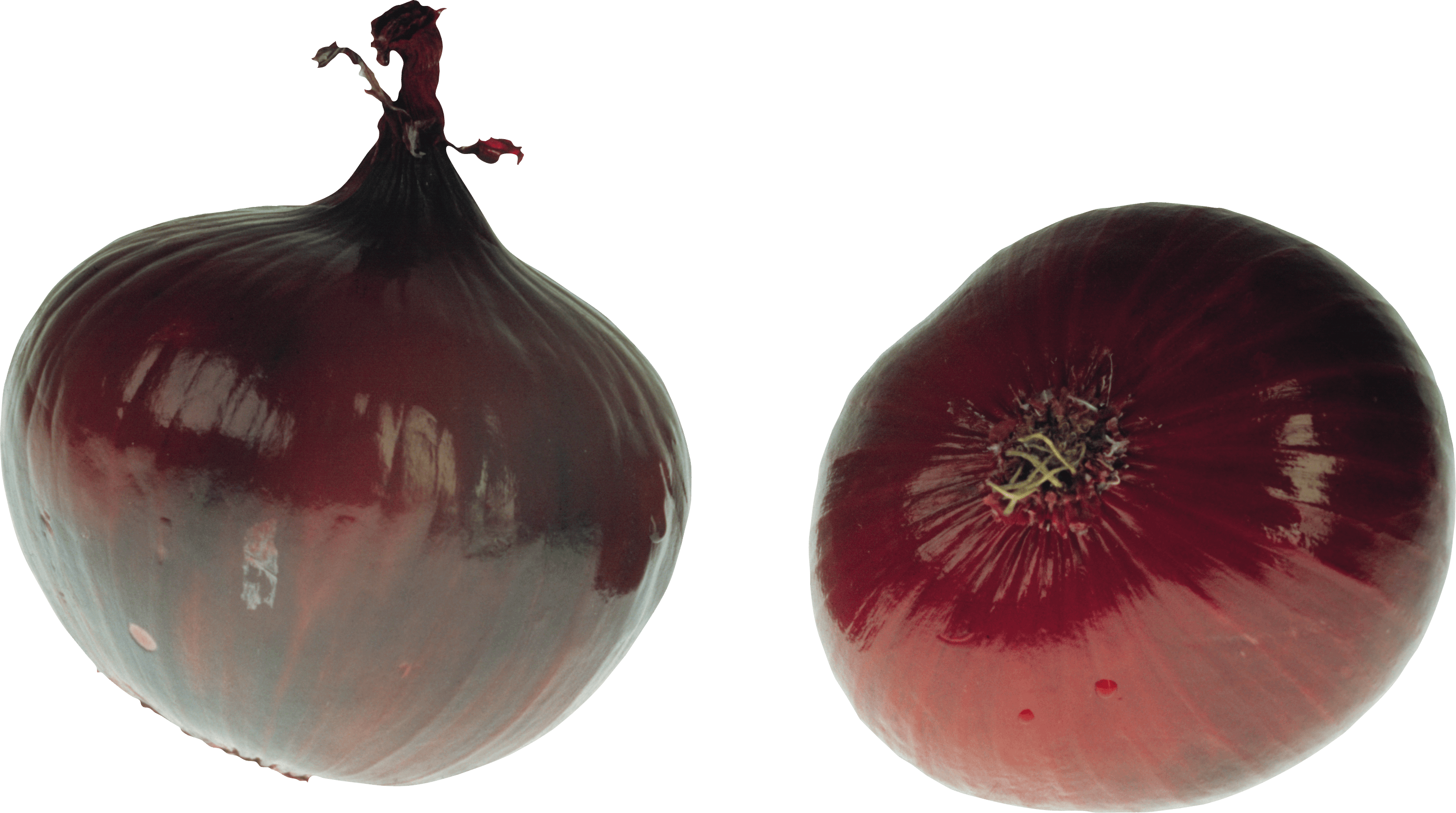 Onion Png Image Transparent PNG Image