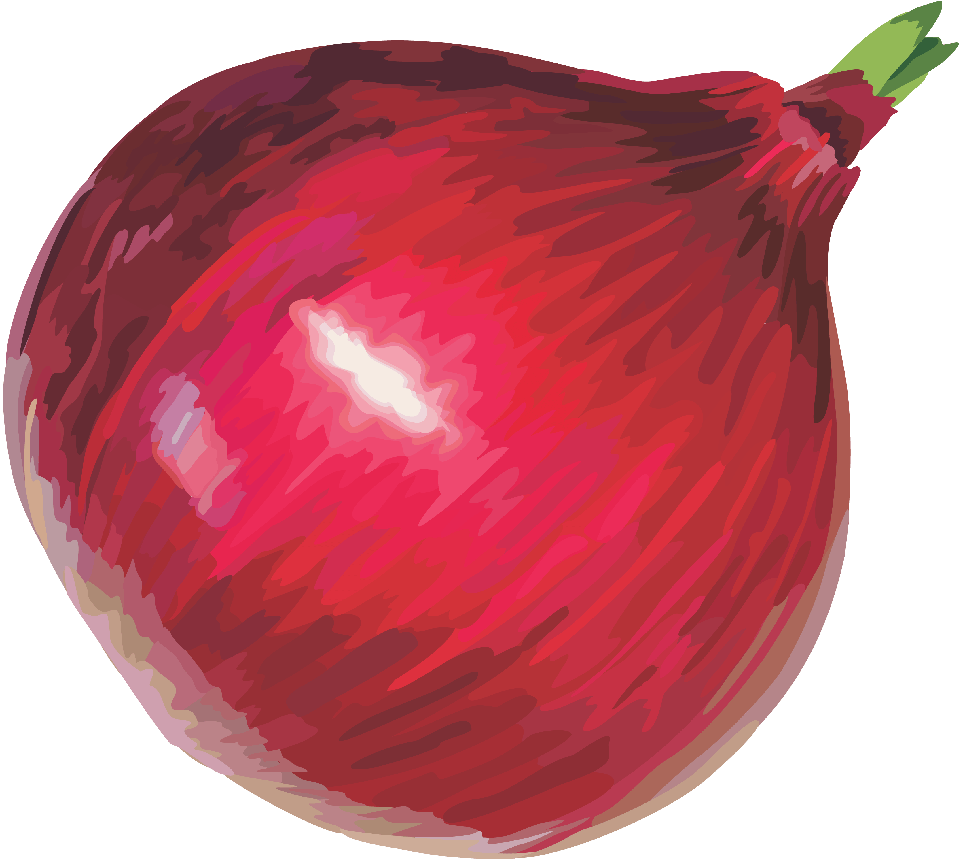 Red Onion Png Image Transparent PNG Image