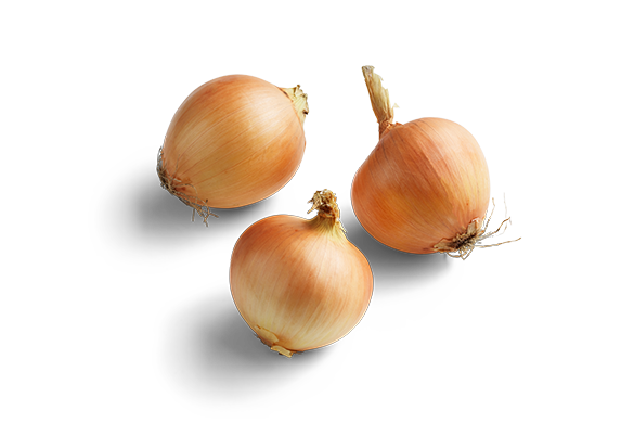 Brown Onion Download HD Transparent PNG Image