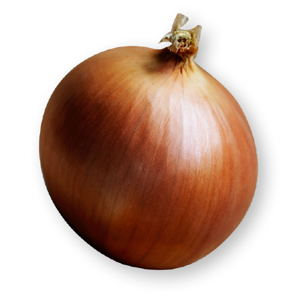 Brown Onion PNG Image High Quality Transparent PNG Image