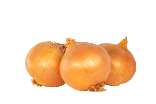 Brown Onion Photos Free PNG HQ Transparent PNG Image