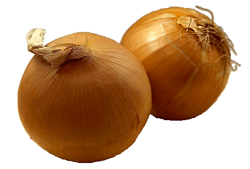 Brown Onion Free HQ Image Transparent PNG Image