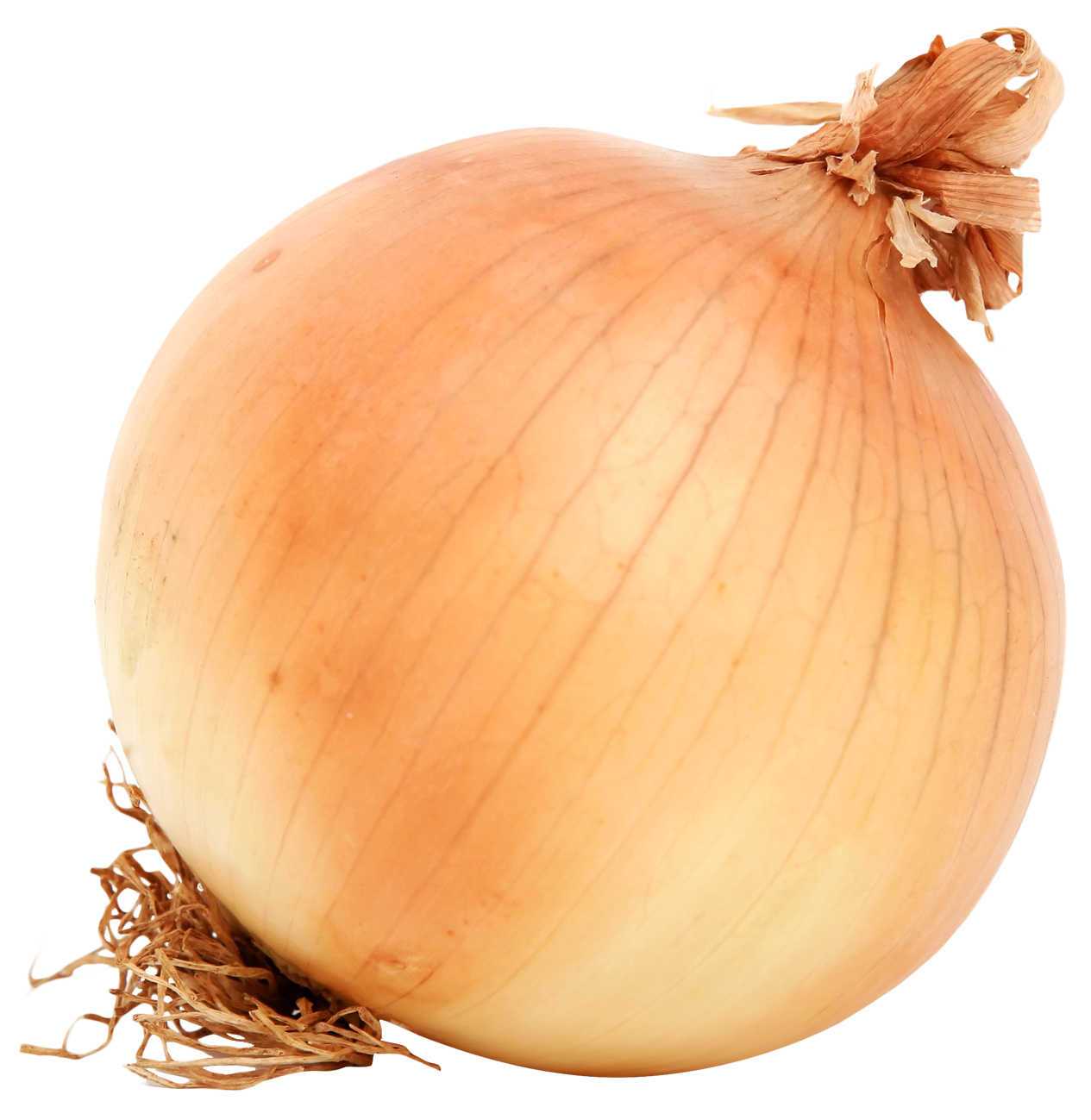 Brown Onion PNG Image High Quality Transparent PNG Image