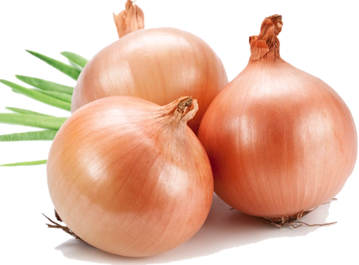 Brown Pic Onion Bunch Free Download Image Transparent PNG Image