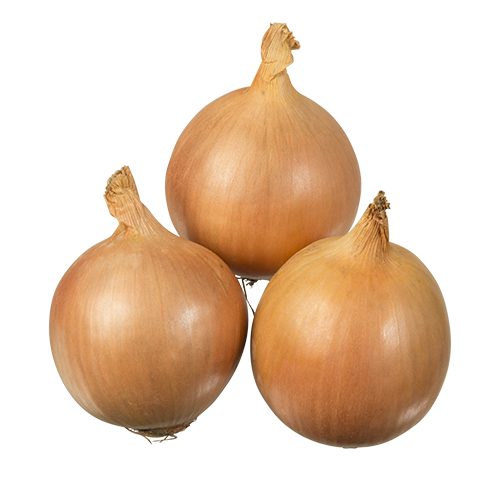 Brown Onion Bunch Free HD Image Transparent PNG Image